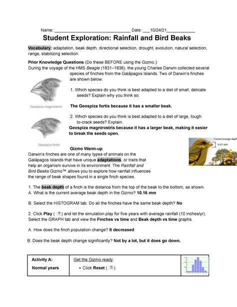 Birds Lab Answer Key Reader