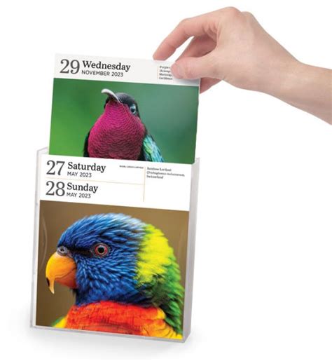 Birds Page   Day Gallery Calendar PDF