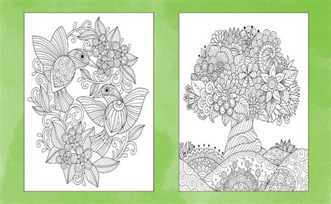 Birds and Butterflies Coloring Book Original Hand Drawn Images for Relaxation Adult Coloring Books Epub