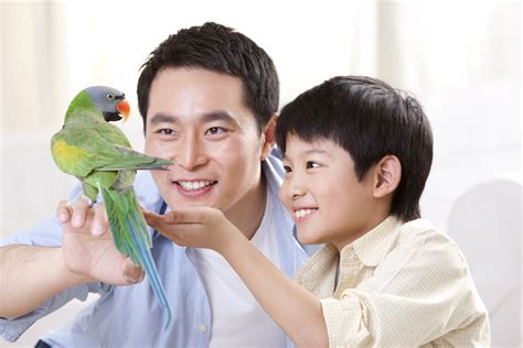 Birds as Beloved Companions: A Comprehensive Guide to Bird Pet Ownership