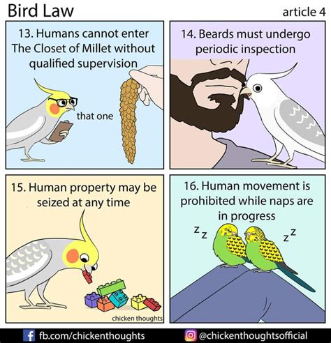 Birds in Legal Precedents