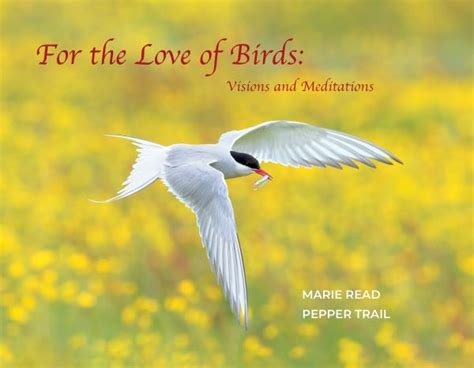 Birds of Lane County PDF