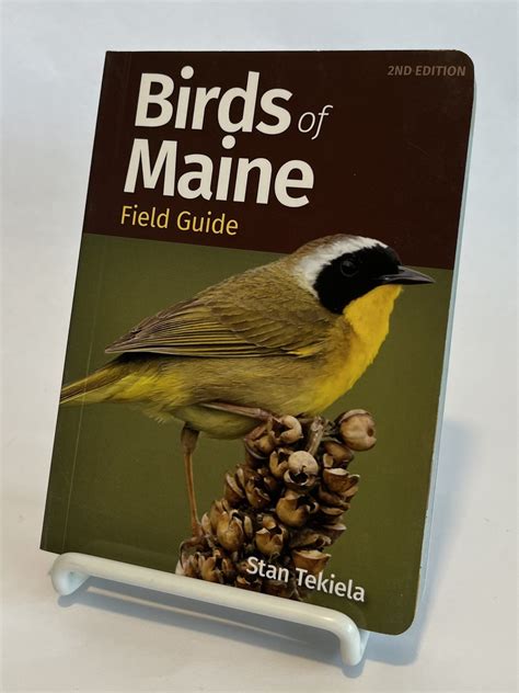 Birds of Maine Field Guide PDF