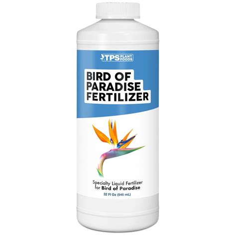 Birds of Paradise Fertilizer: The Ultimate 3-Step Guide to Boosting Your Blooms