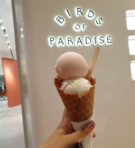 Birds of Paradise Ice Cream: A Sweet Treat with a Pricey Tag