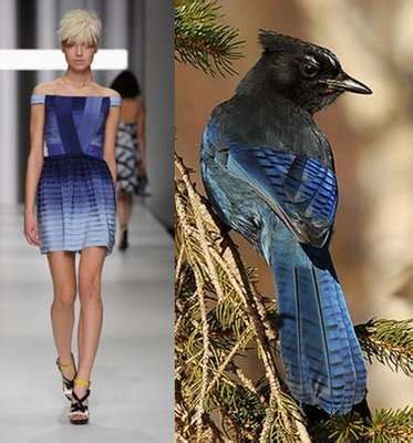 Birds of Paradise Shirts: Unveiling Fashion's Avian Inspirations