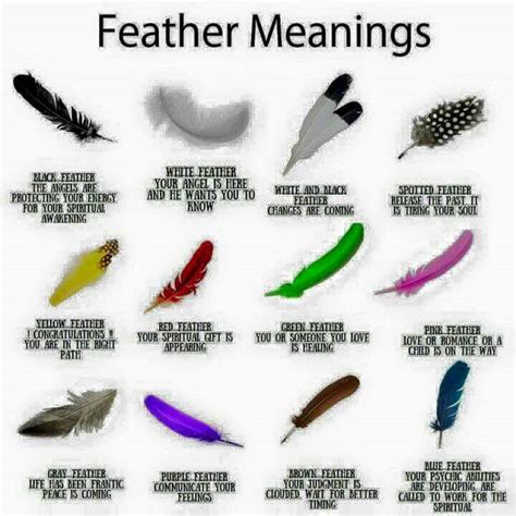 Birds of a Feather: Origins and Meanings