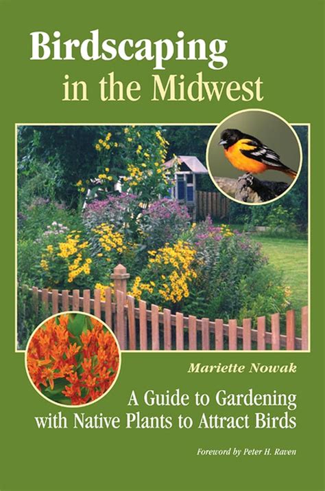 Birdscaping in the Midwest A Guide to Gardening with Native Plants to Attract Birds Kindle Editon