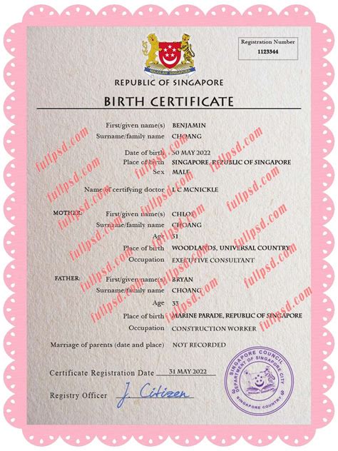 Birth Certificate Singapore: Everything You Need to Know