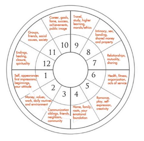 Birth Chart Astrology Houses