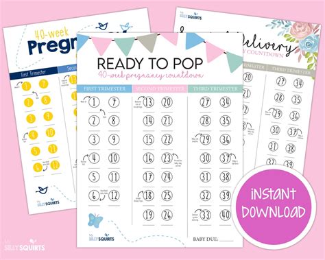 Birth Countdown to Optimal Inspiration and Information for Pregnant Women Reader