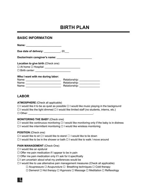 Birth Plan Template Word Document