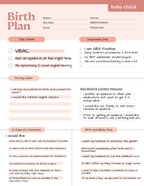 Birth Plans Template