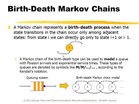 Birth and Death Processes And Markov Chains PDF