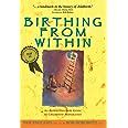 Birthing from Within An Extra-Ordinary Guide to Childbirth Preparation Epub