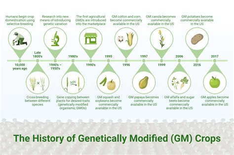 Birthplace of the Vile GM: Unraveling the Toxic History of Genetically Modified Crops