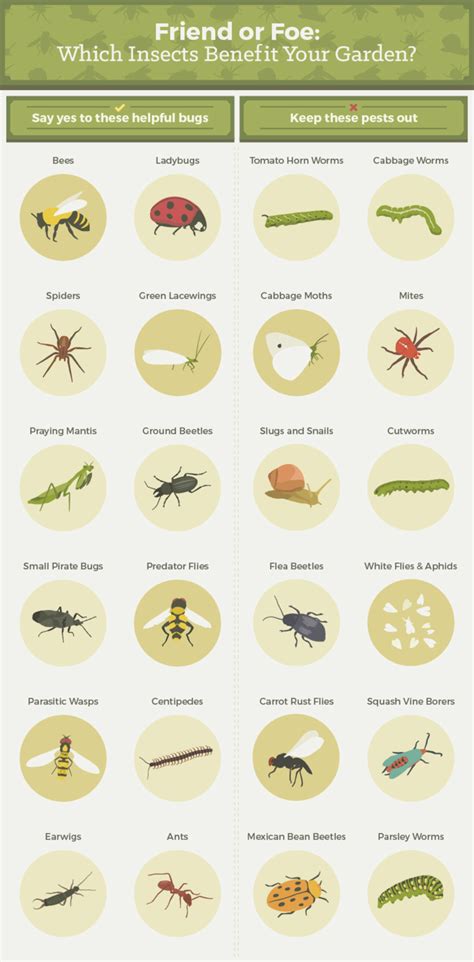 Biting Beetles: The Damaging Pests You Need to Know