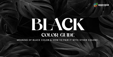 Black: The Color of Power, Elegance, and Mystery