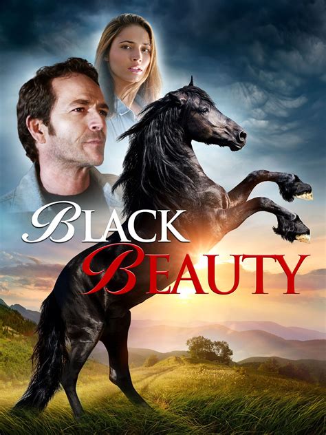 Black Beauty Doc
