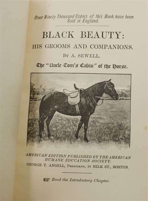 Black Beauty His Grooms and Companions Doc