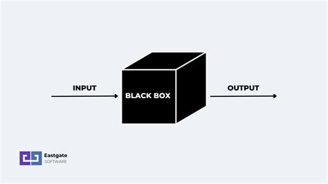 Black Box Epub