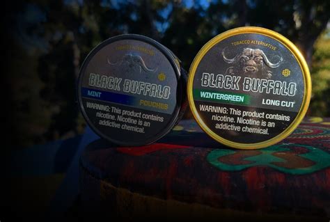 Black Buffalo Snuff: Unveiling the Sacred Realm of Sensory Bliss