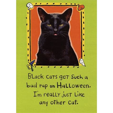 Black Cats get a Bad Rap Doc