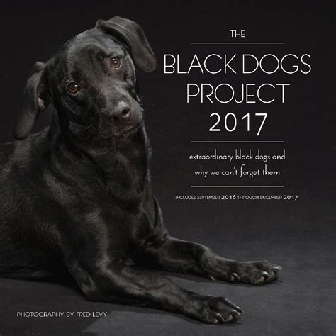 Black Dogs Project 2017 September Doc