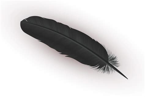 Black Feathers PDF