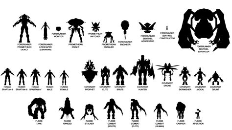 Black Halo Size Chart