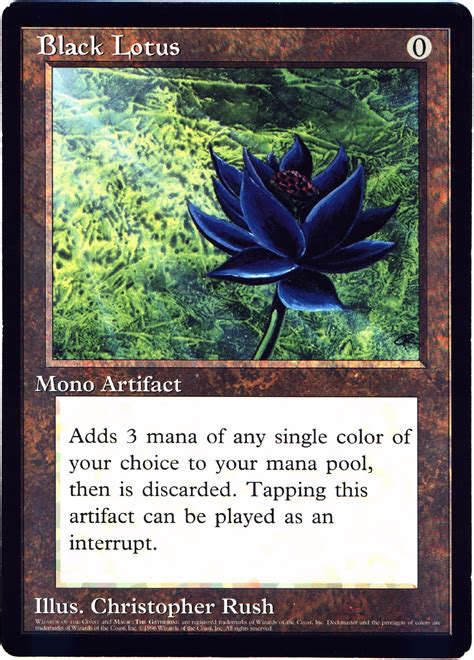 Black Lotus