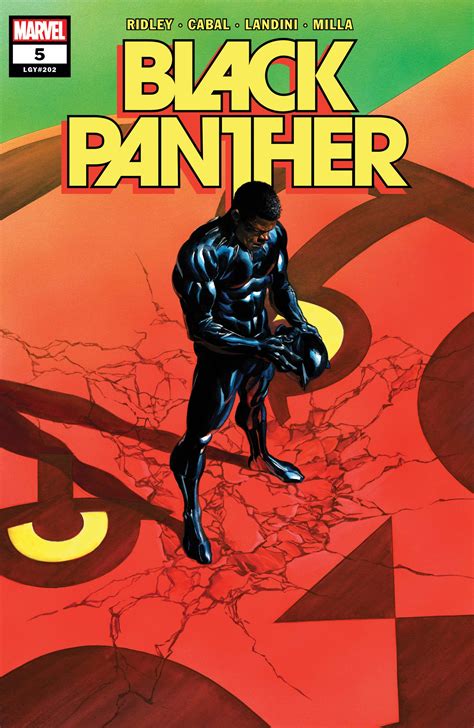 Black Panther 5 Reader