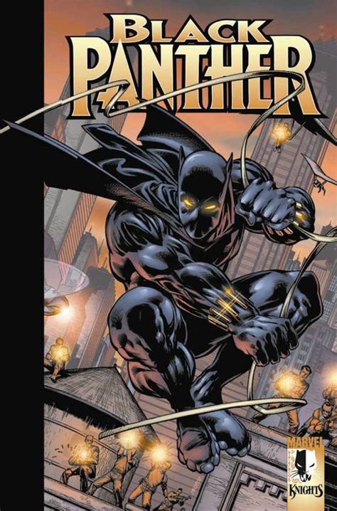 Black Panther Enemy Of The State TPB Doc