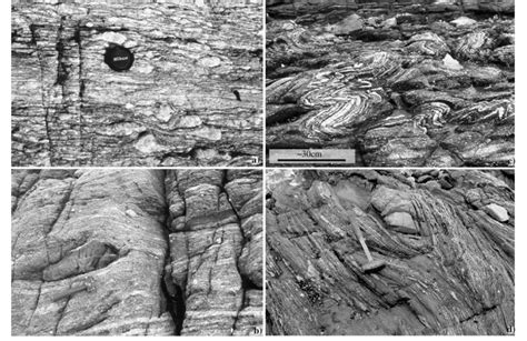 Black Rock with White Spots: Unveiling the Enigma of Orthogneiss