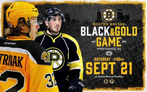 Black and Gold: A Comprehensive Guide to the Boston Bruins