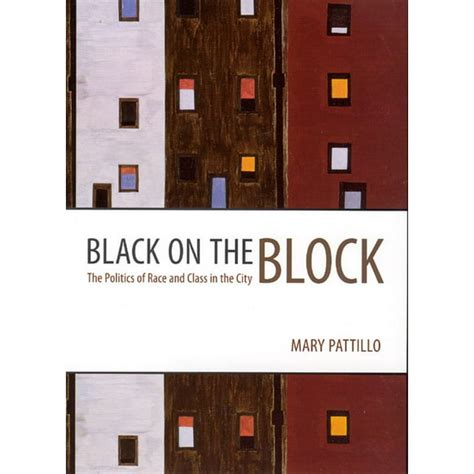 Black on the Block The Politics of Race and Class in the City Epub