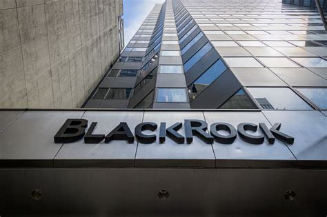 BlackRock's Extensive Reach