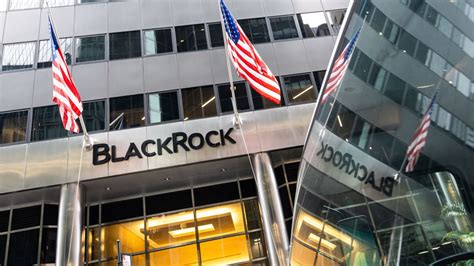 BlackRock Amers: A Comprehensive Overview