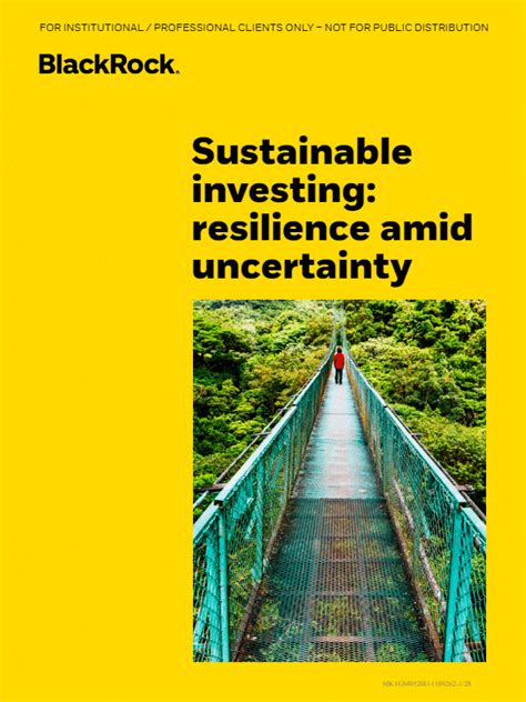 BlackRock BINC: Shaping the Future of Sustainable Investing