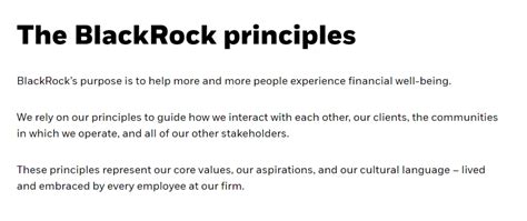 BlackRock Black Principles Interview: Unravelling the Secrets of Success