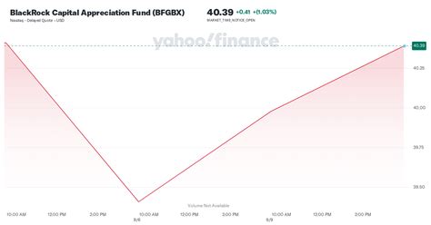 BlackRock Capital Appreciation Fund: A Comprehensive Investment Guide