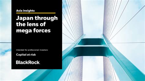 BlackRock Consulting: Shaping the Future of Investment Management