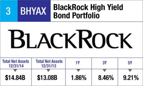 BlackRock High Yield Bond: A Comprehensive Guide for Investors