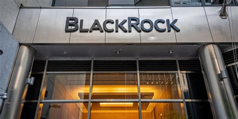BlackRock Internships 2024: Launch Your Career with a Leader in Asset Management