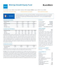 BlackRock Mid Cap Growth: Unlocking Growth Potential with Precision