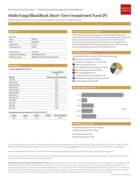 BlackRock Short-Term Investment Fund W: A Comprehensive Analysis