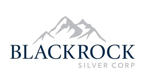 BlackRock Silver Stock Price: Breaking Down the 7 Key Trends