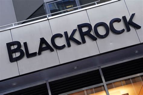 BlackRock VP Sheds Light on the Future of Investing