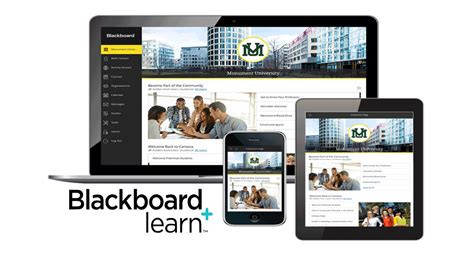 Blackboard Learn, Release 9.1 New Features Ebook Doc