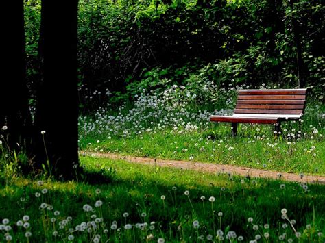 Blackburn Martin Funeral Home: Your Trusted Source for End-of-Life Care in North Branch, MI